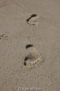 Footprints on the beach, Tobago Cays, St. Vincent and the... by Kay Wilson 
